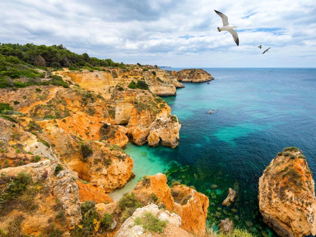 Praia Da Rocha By Ricardo بورتيماو المظهر الخارجي الصورة